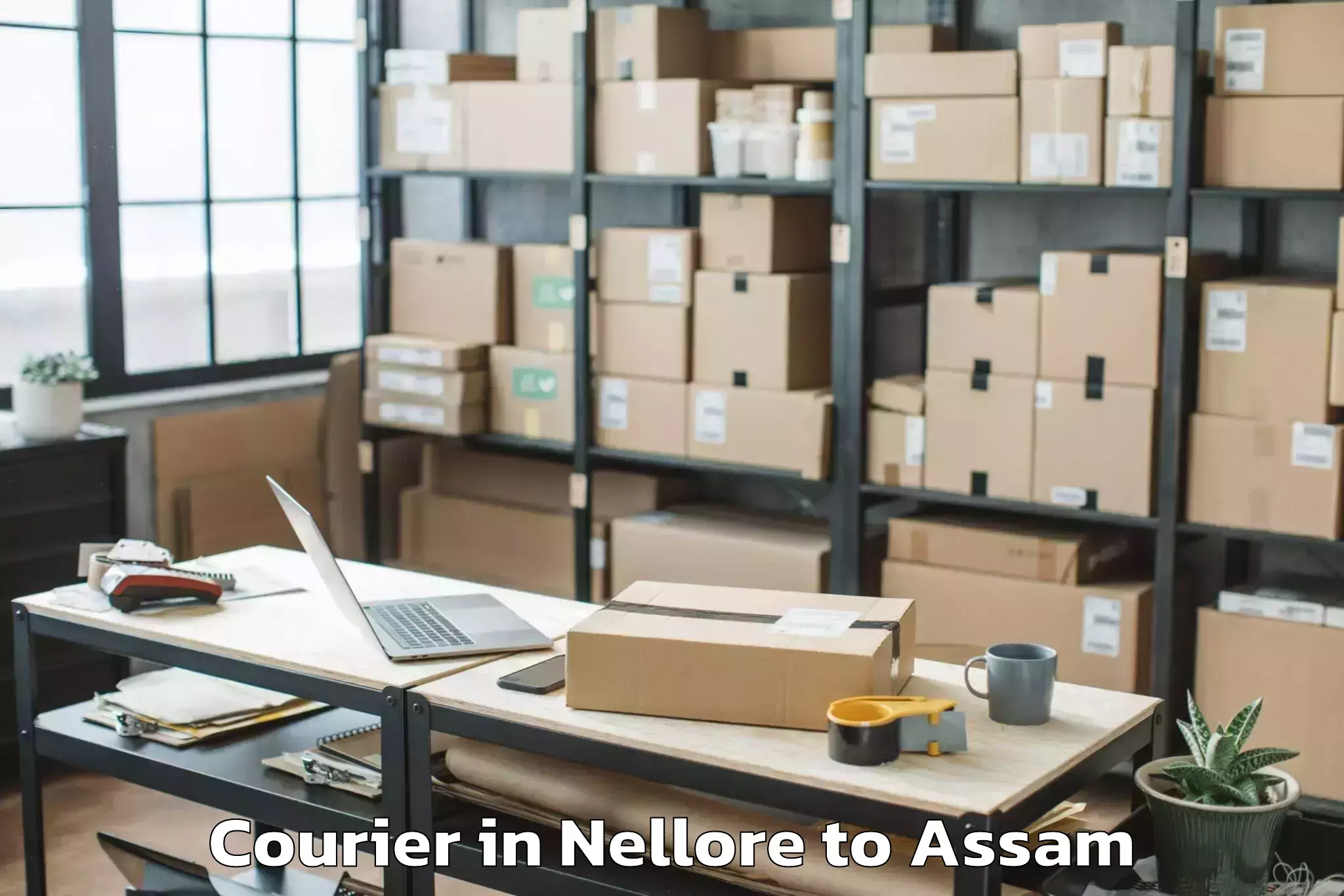 Book Nellore to Raha Gaon Courier Online